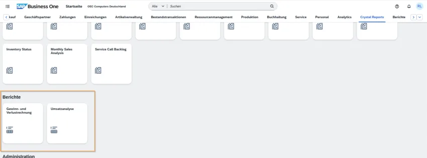 Finanzberichte im SAP Business One Web Client mit Gewinn- und Verlustrechnung und Umsatzanalyse